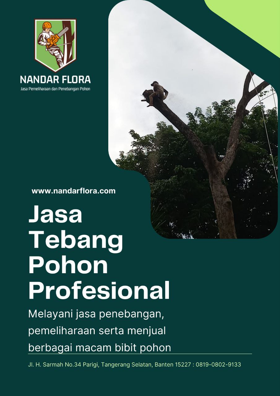 Jasa Tebang Pohon NandarFlora.com